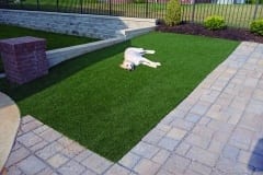 ForeverLawn of Tennessee