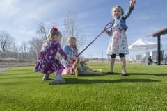 Children Playing at the Beneful Dream Dog Park