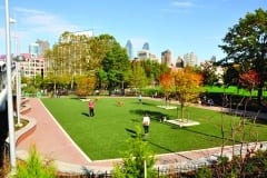 Schuykill River Dog Run