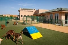 Mission Animal & Bird Hospital