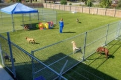 Riverbark Pet Retreat