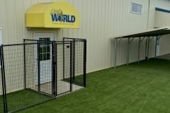 K9Grass at Dog World Daycare