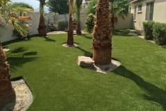 Gorgeous, Dog Friendly Backyard in Indigo, California by ForeverLawn Pacific Coast