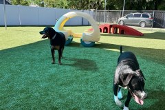 Outdoor K9Grass Installation