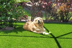 Outdoor K9Grass Installation