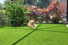 Outdoor K9Grass Installation