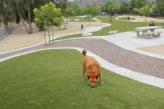 Brea Dog Park
