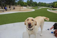 Brea Dog Park