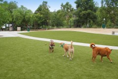 Brea Dog Park