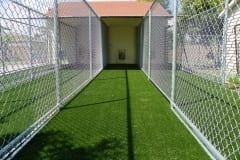 K9Grass - ForeverLawn Palm Beach