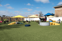 Outdoor K9Grass Installation