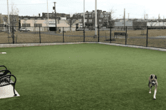 Outdoor K9Grass Installation