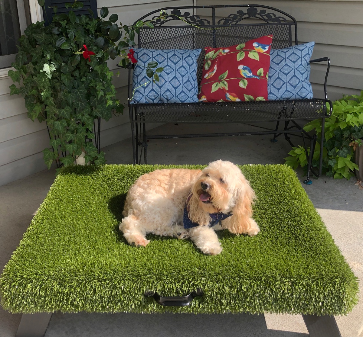 Purchase K9Grass® Accessories, K9Grass Mats