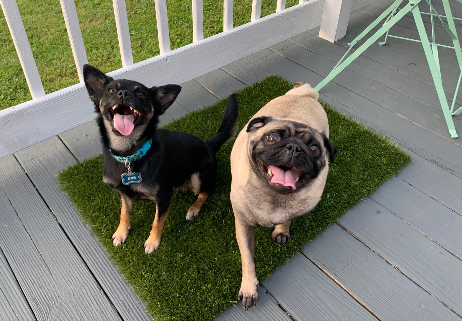 PuppyPlay Mats with Unbound Edges