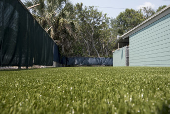 Bayshore Animal Hospital Pet Relief and Rehab Areas, by ForeverLawn of Tampa Bay