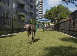 Crescent Westshore Luxury Apartments in St. Petersburg, Florida, by ForeverLawn of Tampa Bay