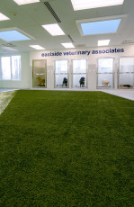Vet and boarding facility with K9Grass by ForeverLawn Bellevue