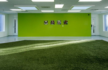 Eastside Veterinary Associates K9Grass Facility
