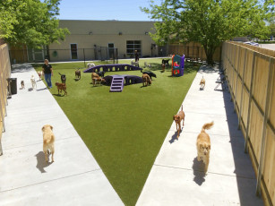 Indian Hills Animal Clinic