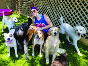 Paws in Paradise by ForeverLawn