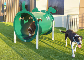 K9Grass at Dogipot Headquarters Installed by ForeverLawn Central Florida
