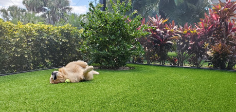 Charming Backyard by ForeverLawn Southwest Florida
