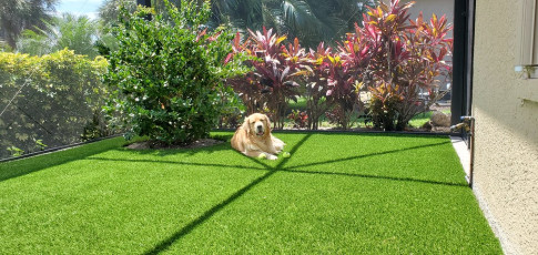 Charming Backyard by ForeverLawn Southwest Florida