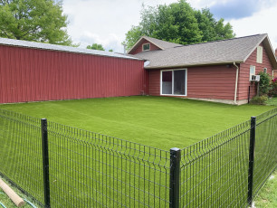 Popular Paw Solution