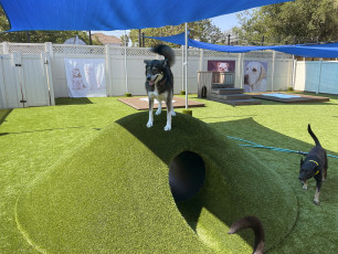 ForeverLawn Bay Area