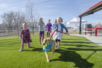 Frolicking on the K9Grass