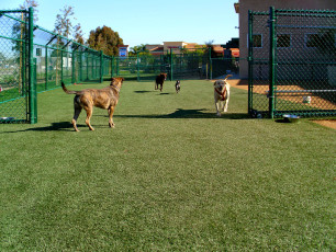 Mission Animal & Bird Hospital