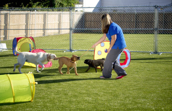 Riverbark Pet Retreat