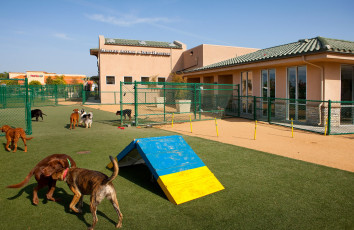 Mission Animal & Bird Hospital