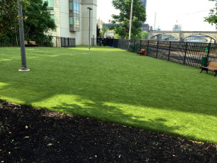 Dog Park by ForeverLawn South Jersey