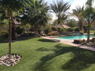 Gorgeous, Dog Friendly Backyard in Indio, California, by ForeverLawn Pacific Coast