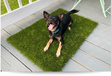 K9Grass Mats with Unbound Edges