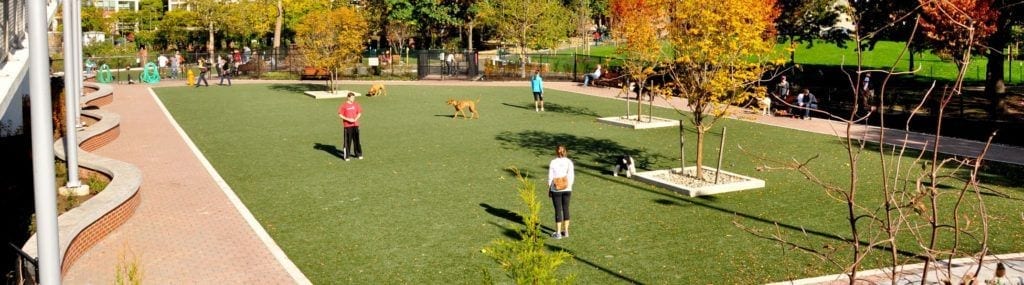 Dog Parks & Dog Runs | K9Grass by ForeverLawn