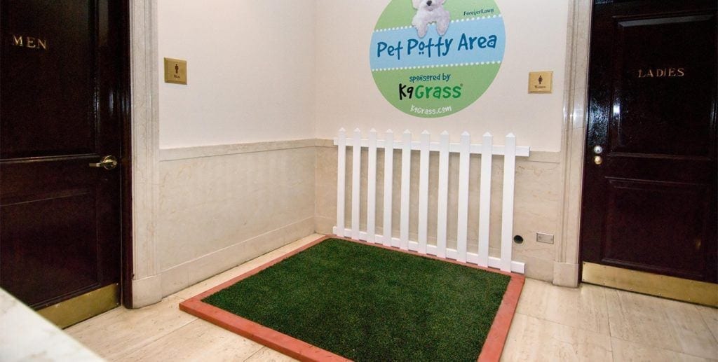 Airport Pet Relief Areas | K9Grass by ForeverLawn