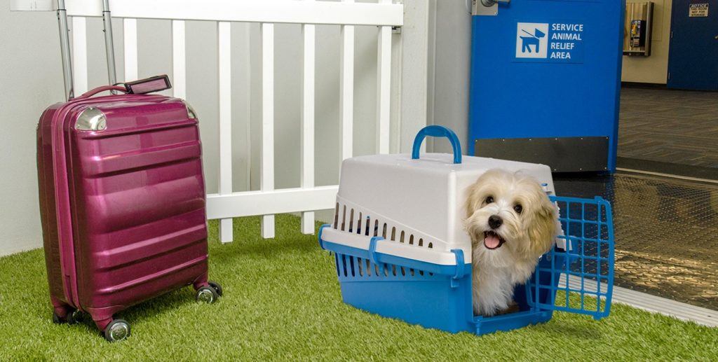 Airport Pet Relief Areas K9Grass by ForeverLawn