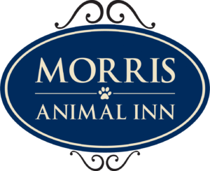 morris-animal-inn