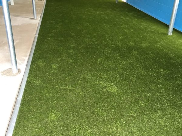 Cascade Veterinary - Grand Rapids, MI | K9Grass by ForeverLawn