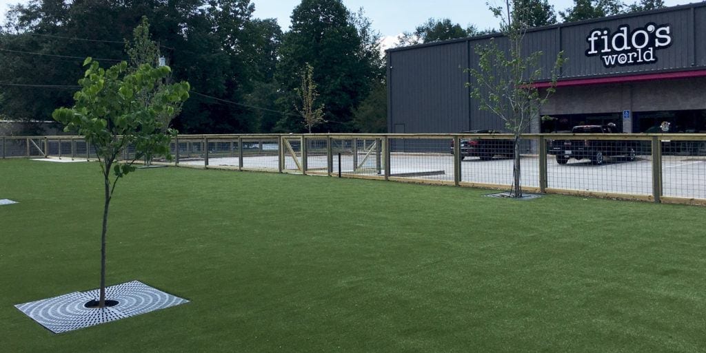 Fido’s World Featured Project | ForeverLawn, Inc.