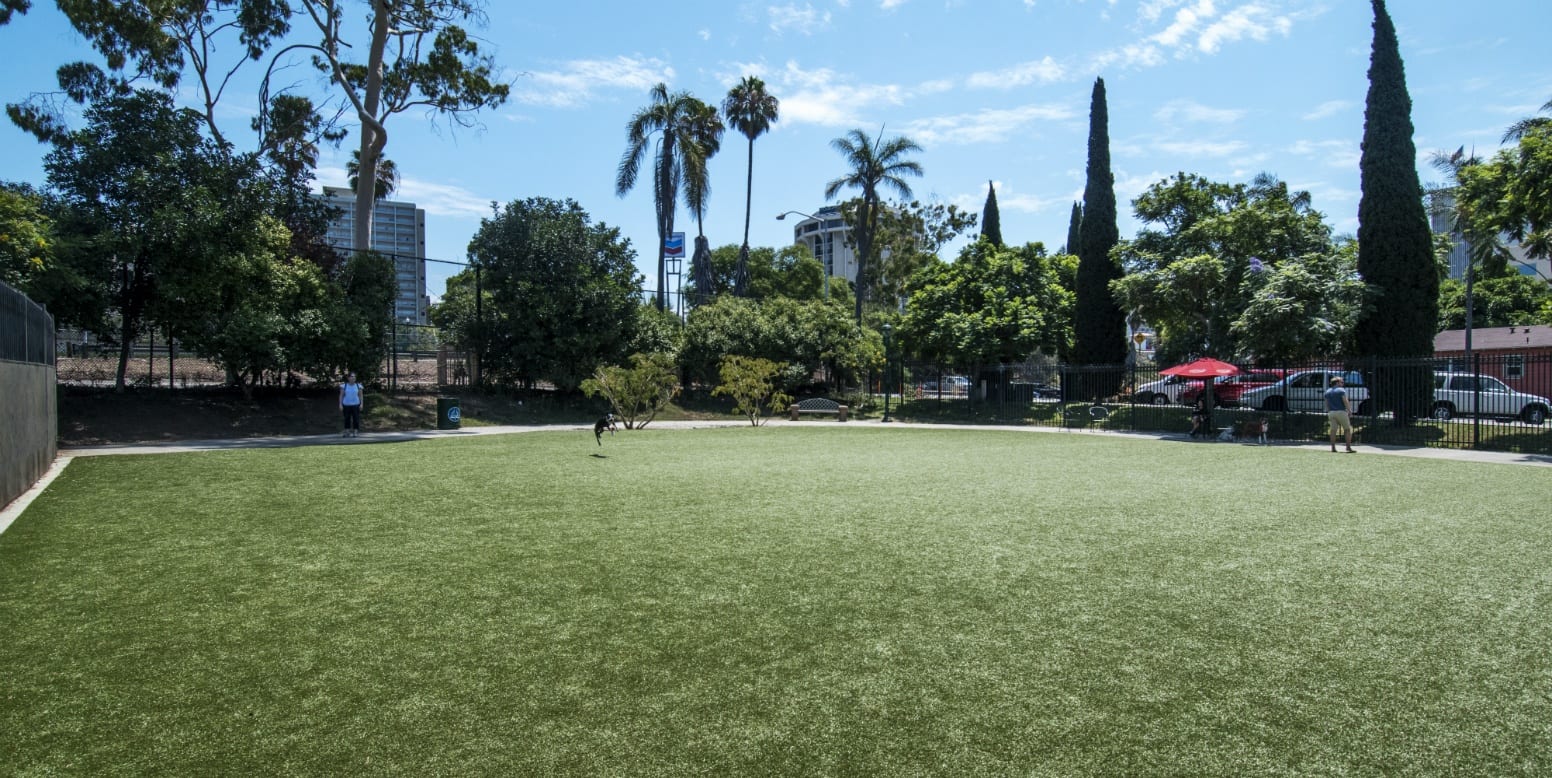 Little Italy Dog Park with K9Grass