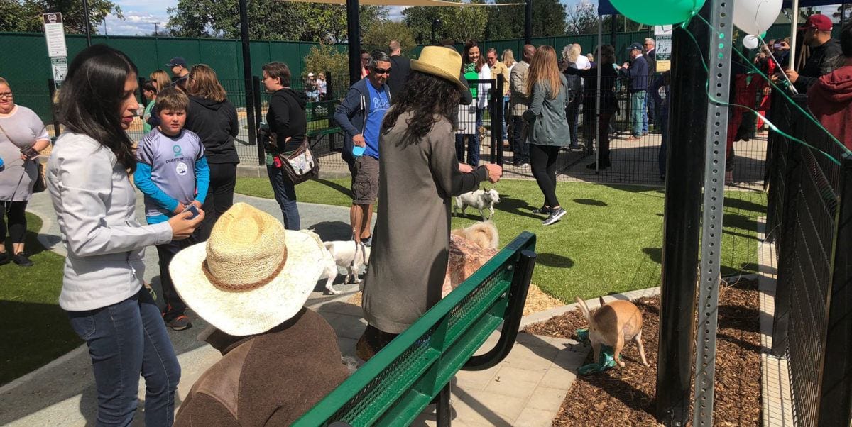 Signal Hill Dog Park Long Beach, CA K9Grass by ForeverLawn