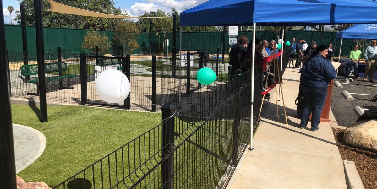 Signal Hill Dog Park Long Beach, CA K9Grass by ForeverLawn