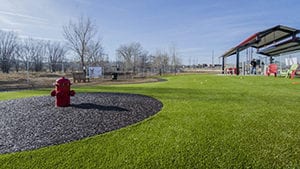 artificial turf for dogs installation