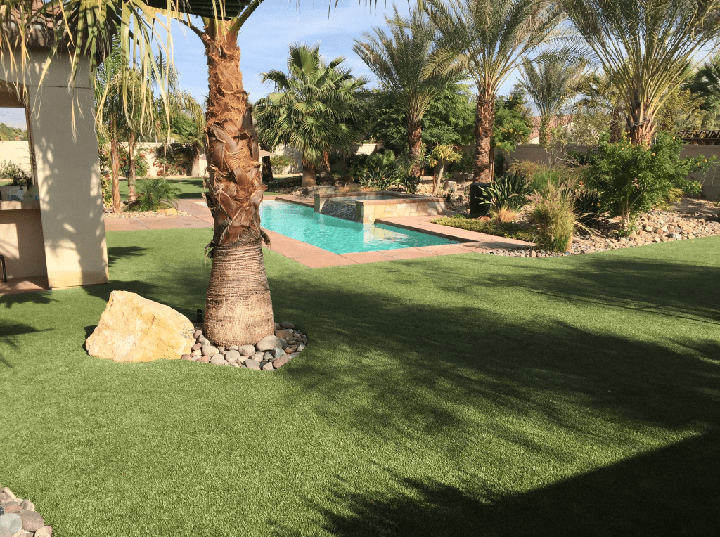 Indio Backyard