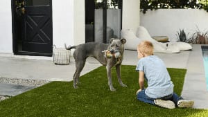 Boy and dog