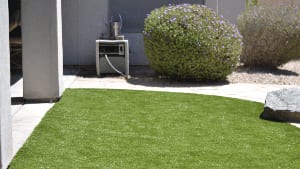 Yard with k9grass