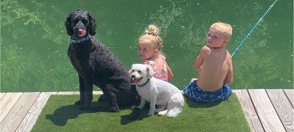 Dog and kids fishing on dock